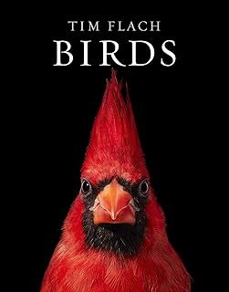 Birds: Photographs — %52 İndirim | Amazon TR Fırsatı