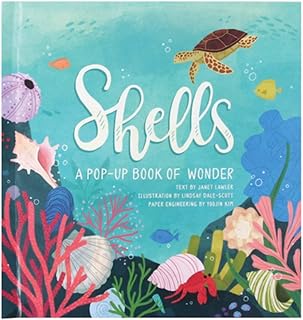 Shells: A Summer Pop-Up Book (4 Seasons of Pop-Up) — %25 İndirim | Amazon TR Fırsatı