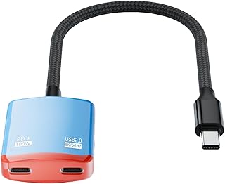 LivX USB-C Çoklayıcı Adaptör 2 Port USB-C Hub, 100W PD Hızlı Şarj, 8K@60Hz Görüntü Aktarımı, USB 2.0 Data Transfer, Type-C Splitter DKS-01