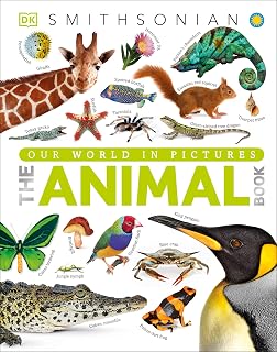 The Animal Book: A Visual Animal Kingdom Encyclopedia for Kids — %21 İndirim | Amazon TR Fırsatı