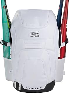 Rawlings | Franchise 2.0 Player’s sırt çantası | beyzbol/softball | Rec/Travel | çoklu stiller — %66 İndirim | Amazon TR Fırsatı