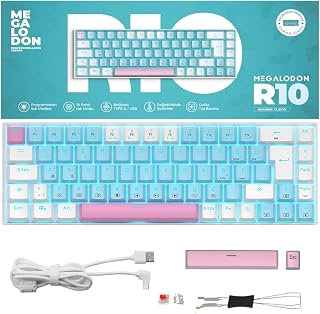 R10 Mekanik Oyuncu Klavyesi Full Anti-Ghosting Hot Swap Red Switch Buz Mavisi Işıklandırma (TürkçeQ) — %27 İndirim | Amazon TR Fırsatı